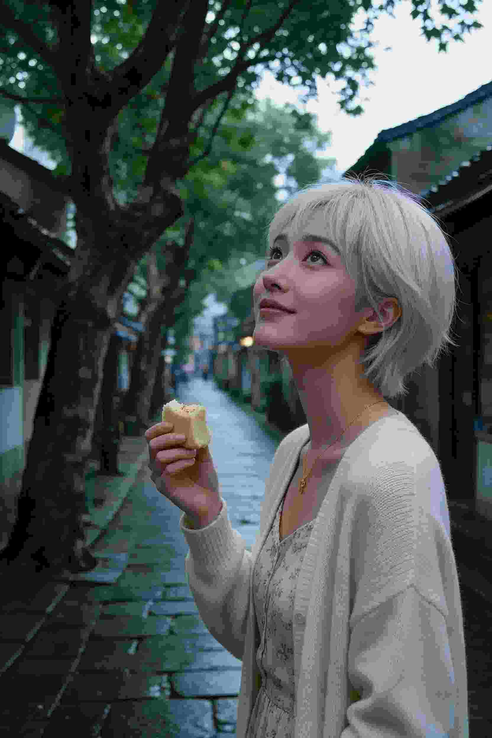 内容